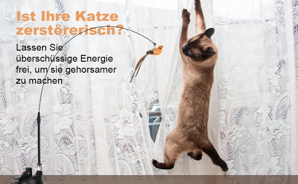 Werbung für Katzenverhalten, die eine Siamkatze zeigt, die sich gegen Vorhänge streckt, mit deutschem Text über den Umgang mit destruktivem Katzenverhalten.