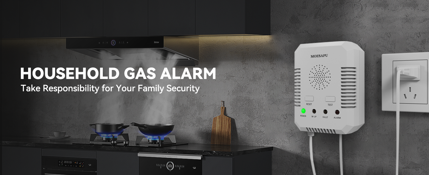 Household Gas Alarm