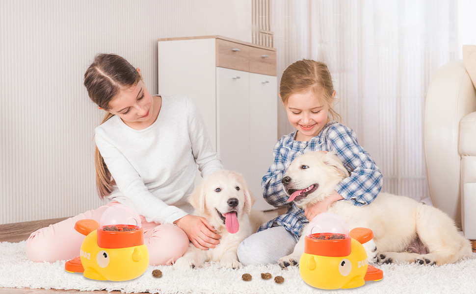 pet feeder toy