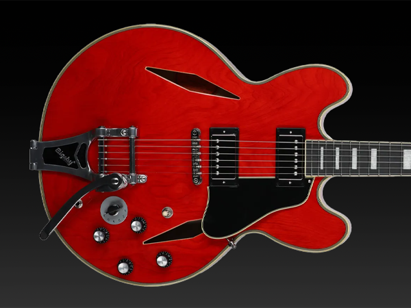 Amazon.com: Epiphone EXCLUSIVE Shinichi Ubukata ES-355