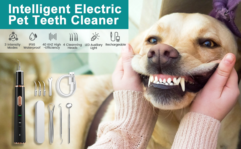 dog toothbrush
