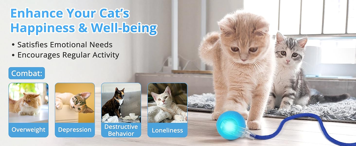 cat play mat moving cat toys for indoor cats smart cat toy cat balls toys for indoor cats 