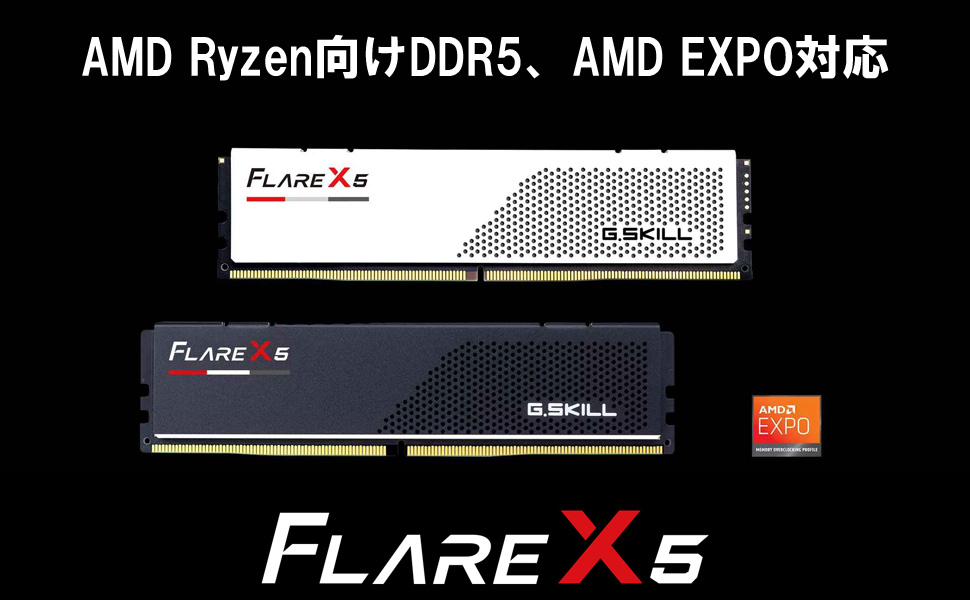 メモリー G.skill DDR5 F5-6000J3238F16GX2-FX5 EXPO G.SKILL Flare X5 Series DDR5 RAM (AMD Expo) 32GB (2x16GB