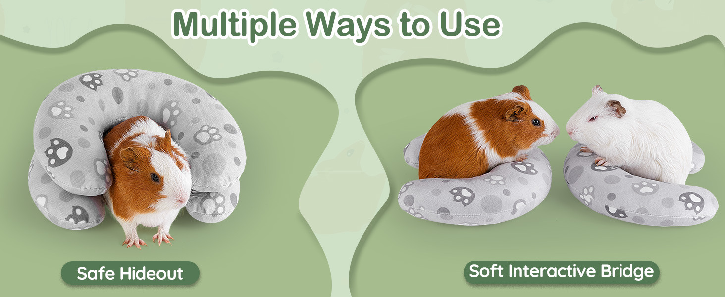 guinea pig pillow