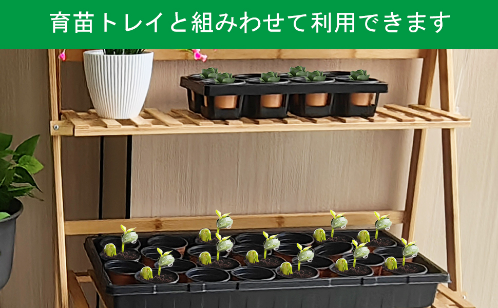 多肉植物棚　GAI-W80E（棚＋トレー） 多肉植物棚 GAI-W80E（棚＋トレー）