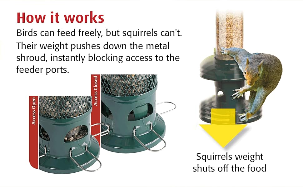 Squirrel Proof Bird Feeder for Seeds Jacobi Jayne® Squirrel Buster