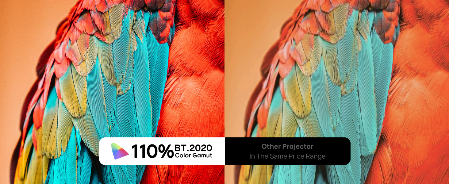 110% BT.2020 Color Gamut
