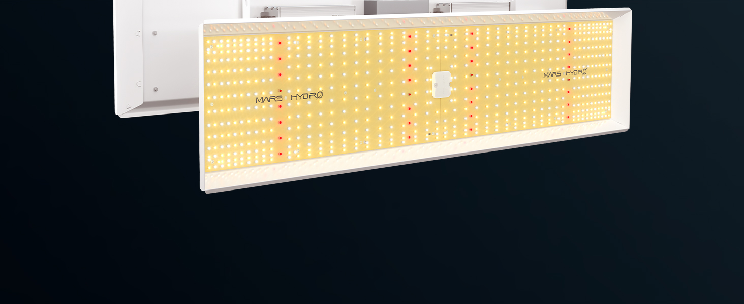 TSL2000 LED LIGHTS 300 WATT