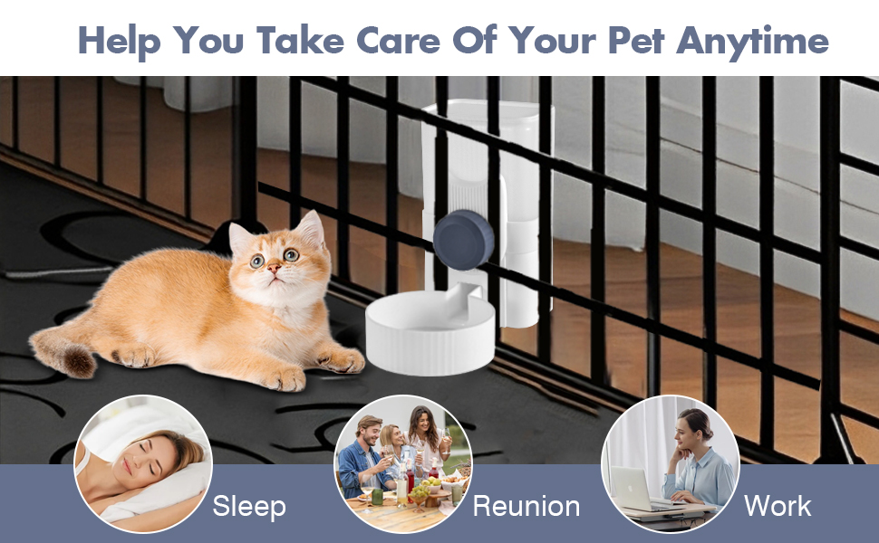 Guinea Pig Water Bottle