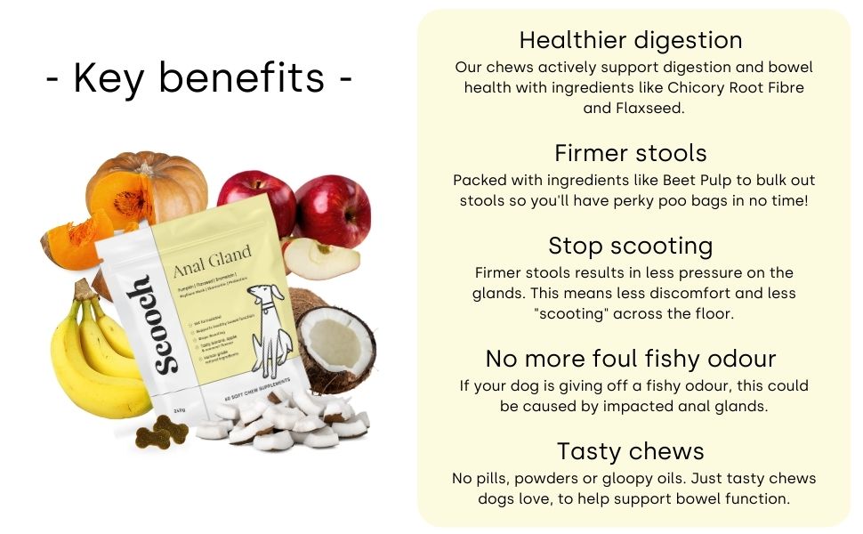 Healthy digestion, firm stools, tasty chews