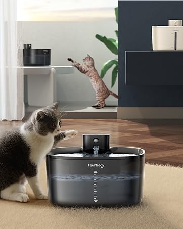 water fountain for cats inside