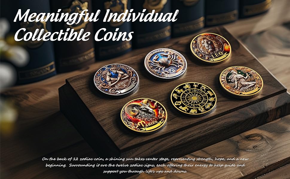 Twelve Constellations Aquarius Protective Talisman Coin
