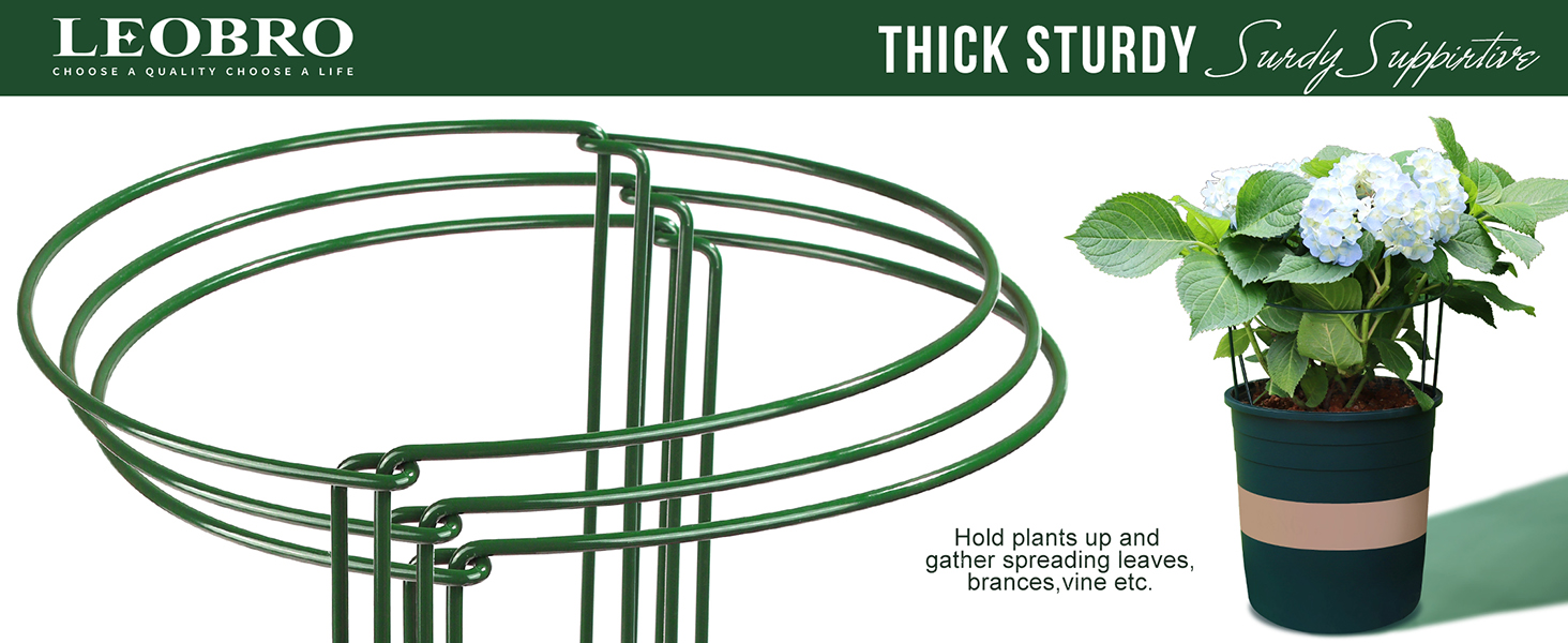 6 PCS sturdy Plant Support Stakes