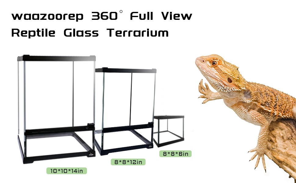 Waazoorep Mini Reptile Glass Terrarium Tank 8"x8"x12“ Full