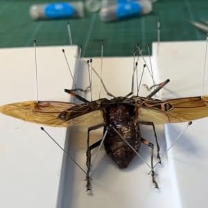 Small manufacture image 2