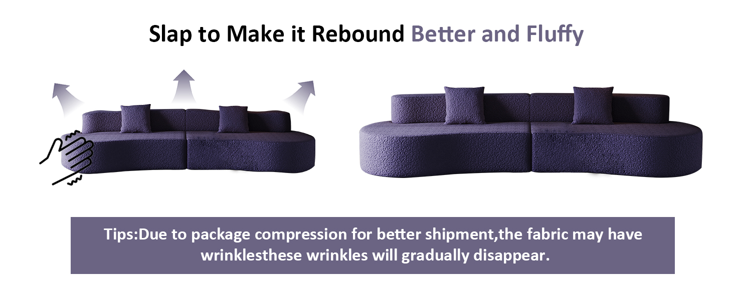 Modern Sectional Curved Couch