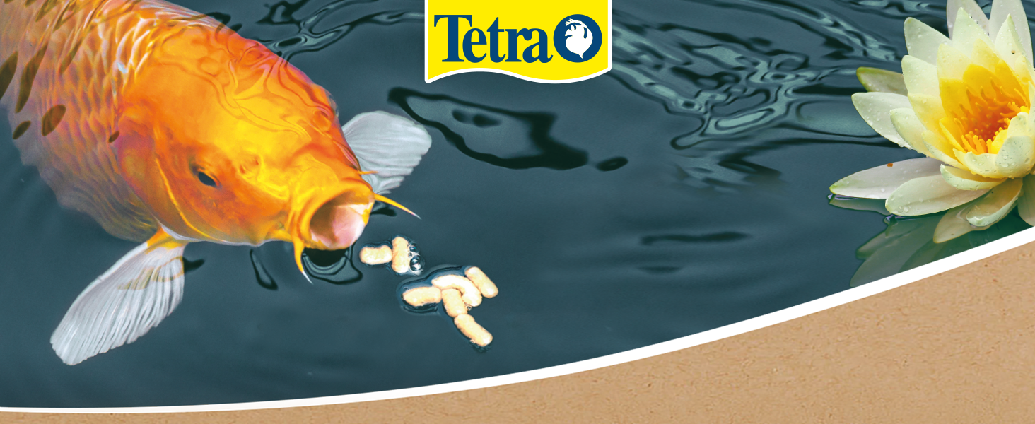 tetra,poisson bassin, alimentation bassin, nourriture pour poisson de bassin,tetra nutri evolution