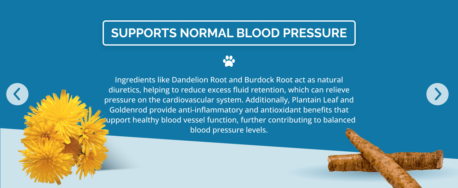 kidney health support helps maintain normal blood pressure in dogs and cats natural kidney support