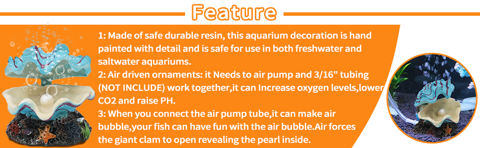 aquarium shell decoration