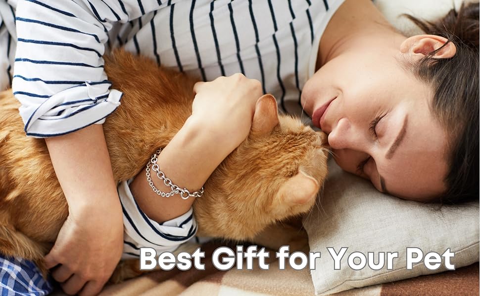 Excellent Baby Cat Gift