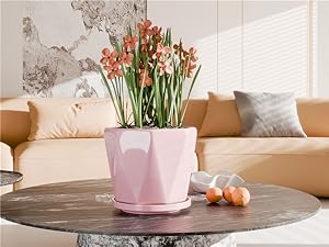 pink plant pots ceramic indoor modern set of 3 drainage hole saucer