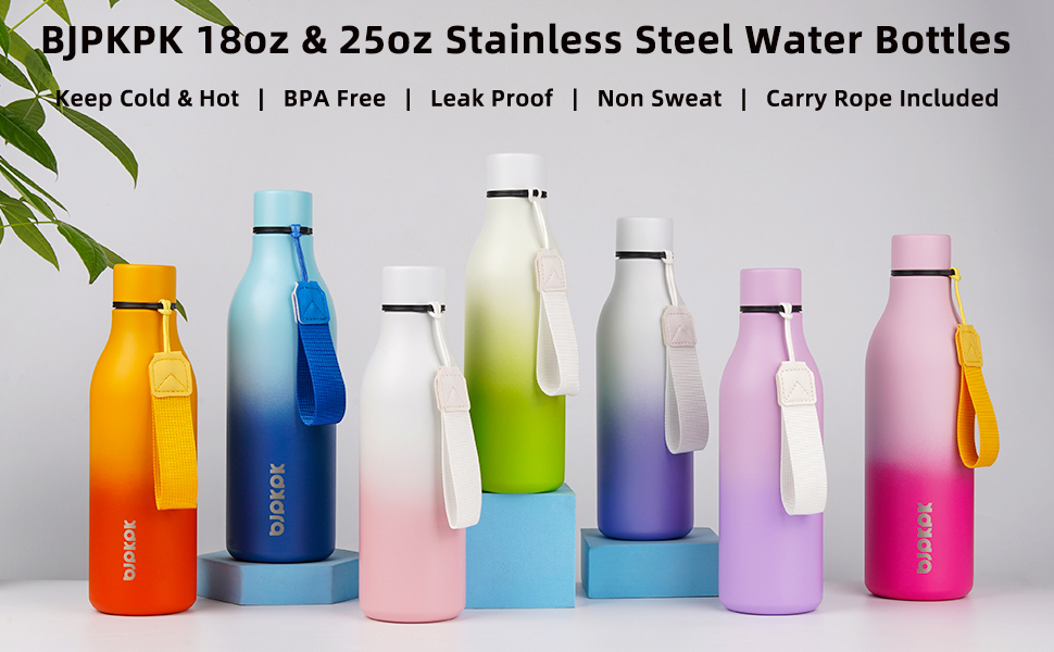 BJPKPK Insulated Water Bottles, 18oz Stainless Steel Metal Water Bottle with Strap, BPA Free