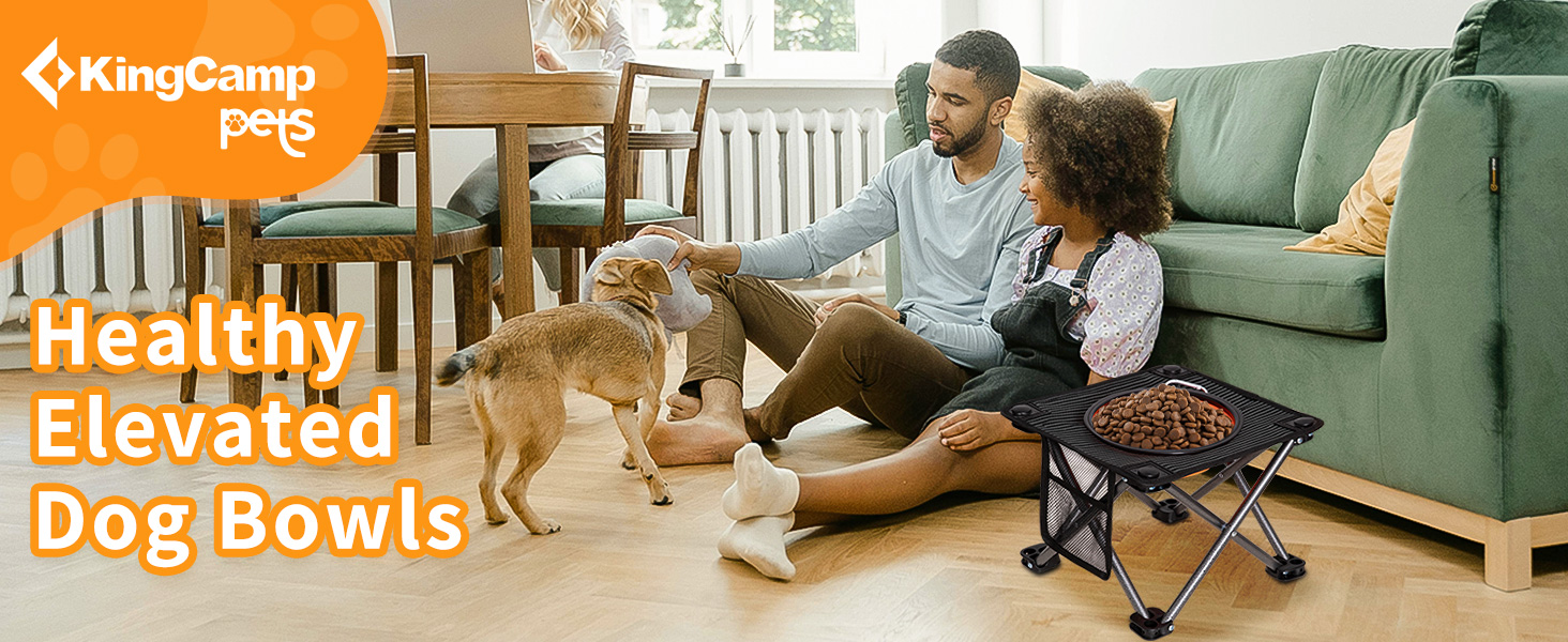 Elevated Dog Bowls