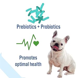 kutta billi accessories