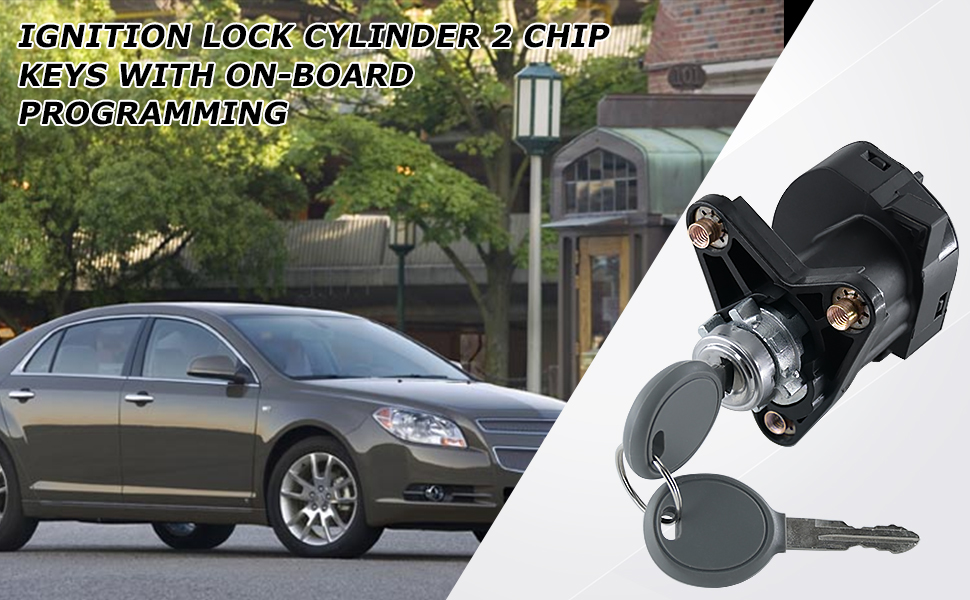 Ignition Switch Lock Cylinder Assembly with 2 Chip Keys with On-Board Programming