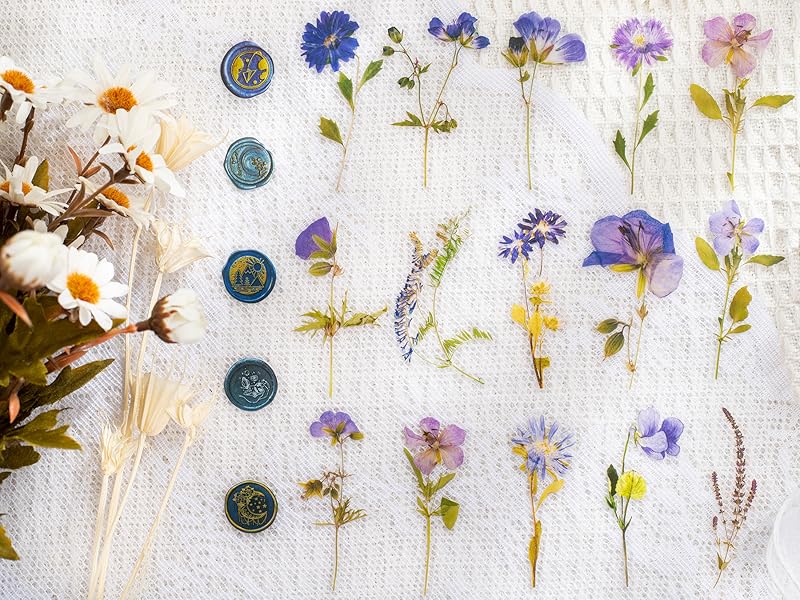 Knaid Pressed Flower Themed Stickers Set (320 Pieces) Dried