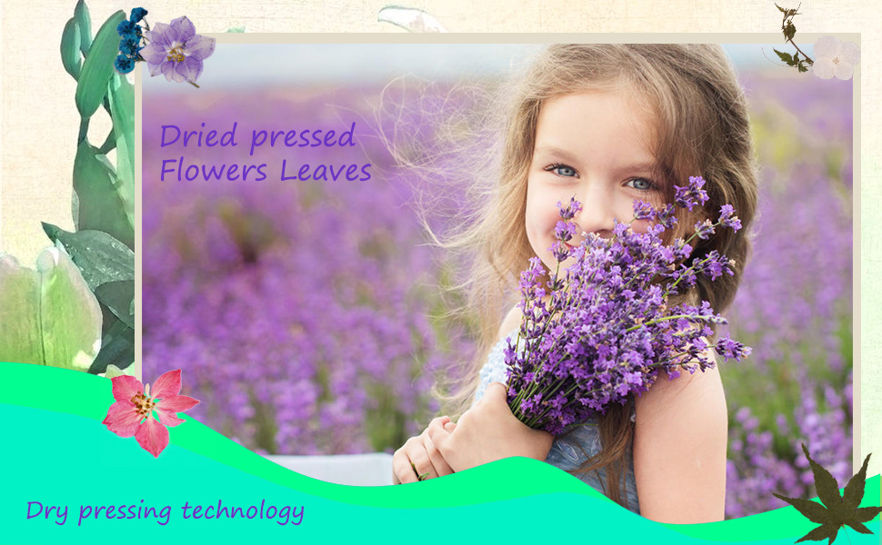 Hafuloky Real Natural Pressed Dried Flowers for Resin Mold