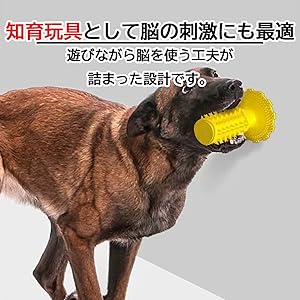 教育的なおもちゃ