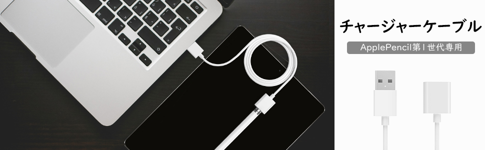 Amazon.co.jp: ApplePencil 充電ケーブル ATiC 長さ1M アップル