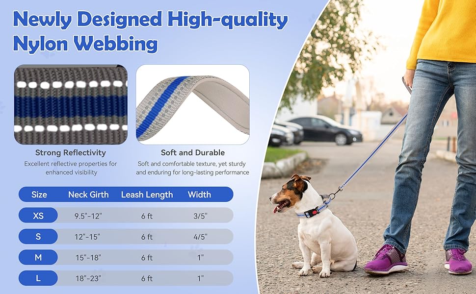 martingale collar with buckle