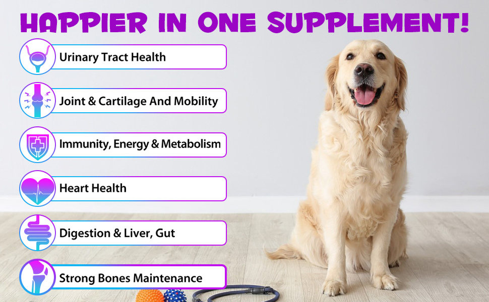 Liquid Multivitamin for Dog