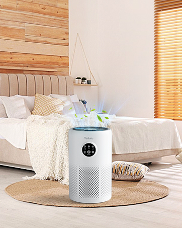  Air Purifier  10