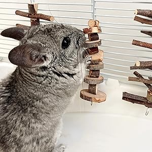 Small Animal Chews Toy Natural Apple Wood Block Cage Hanging Molars Treats Snack for Hamsters
