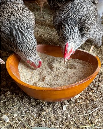 chicken feed chicken food chick feed organic chicken feed chicken food for laying hens duck feed 