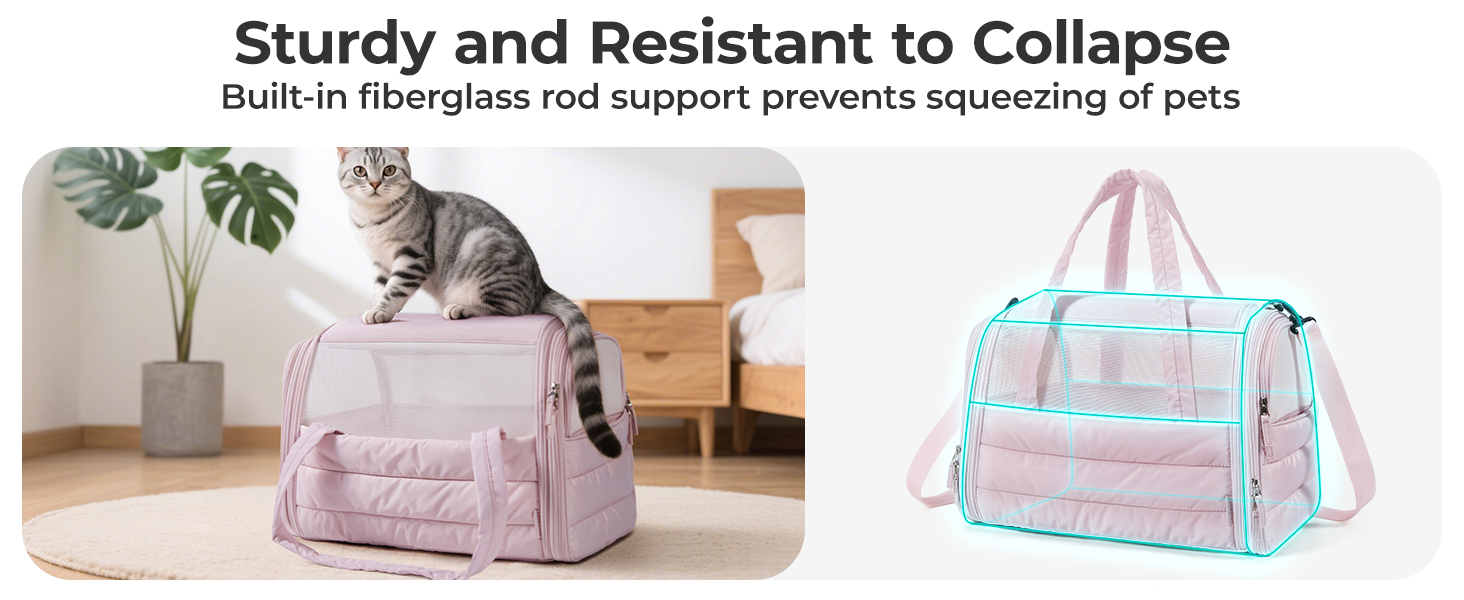 BAGSMART Cat Carrier