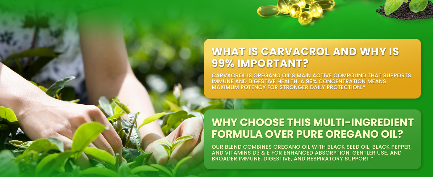 oregano oil capsules, black seed oil capsules