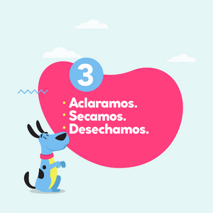 sem enxaguar cães gatos animais de estimação