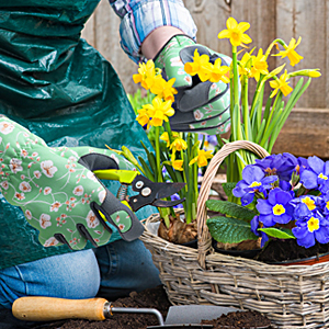 gardening gloves
