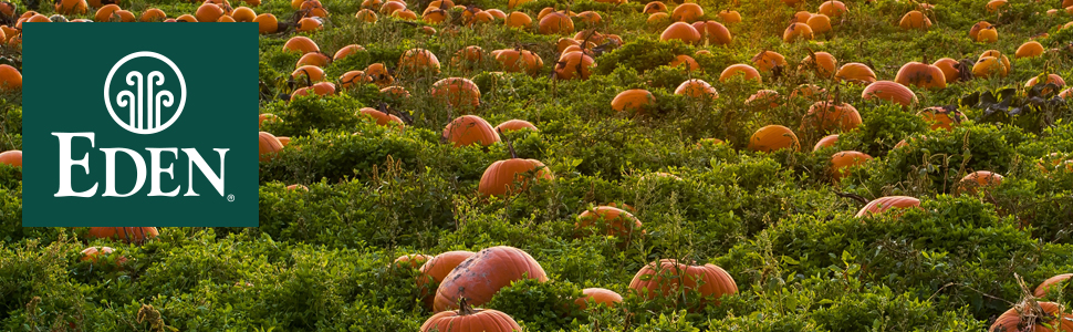 pumkin_patch