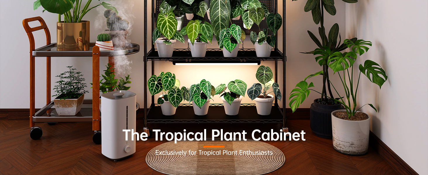 mini greenhouse indoor