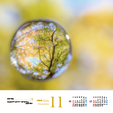 11月　秋色の宝石／東京都