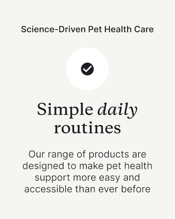 Simple daily routines