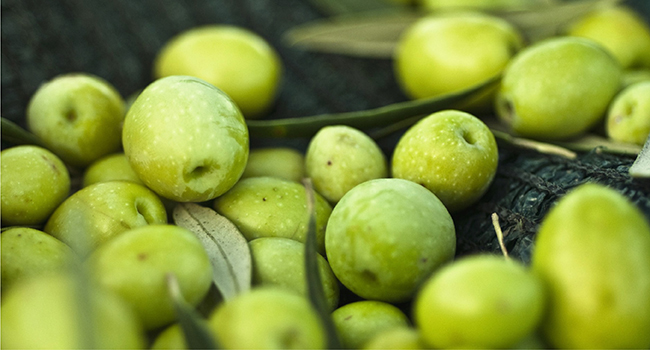 Large manufacture image 3