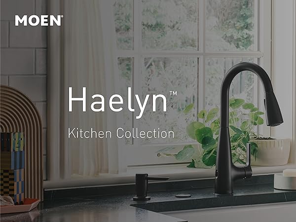 haelyn kitchen collection moen