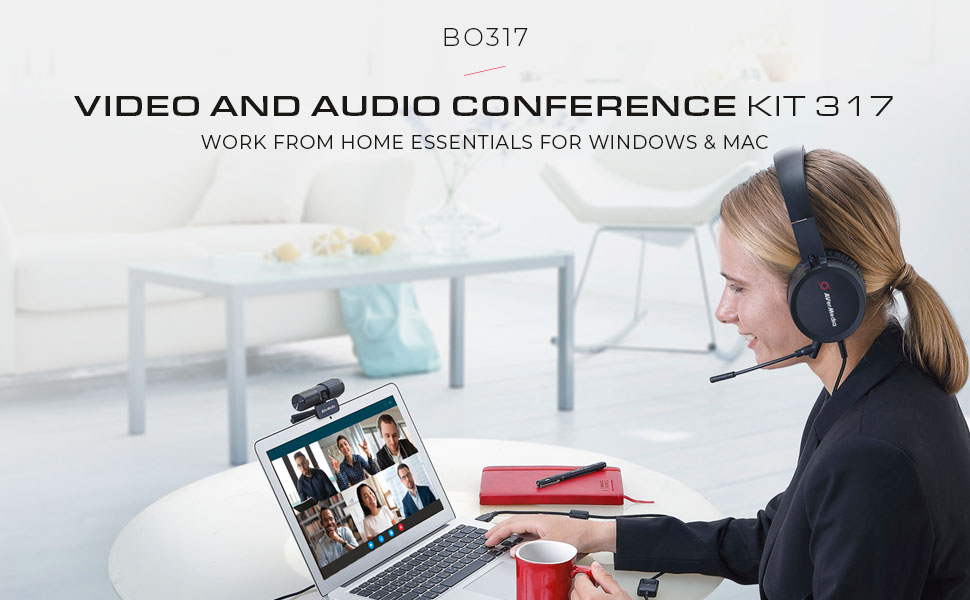 bo317 video conferencing kit