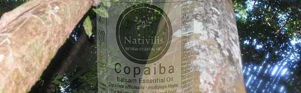 COPAIBA OIL NATURAL EXTRACTION IN A SUSTAINABLE WAY
